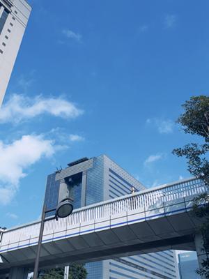 改修工事における足場の重要性について